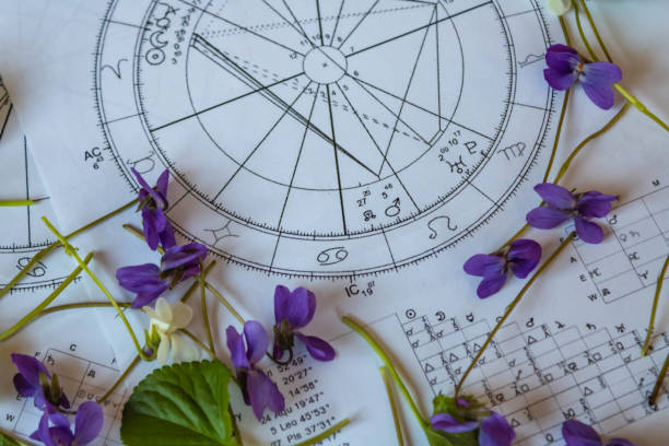Top Rated Astrology Health Apps 2026
