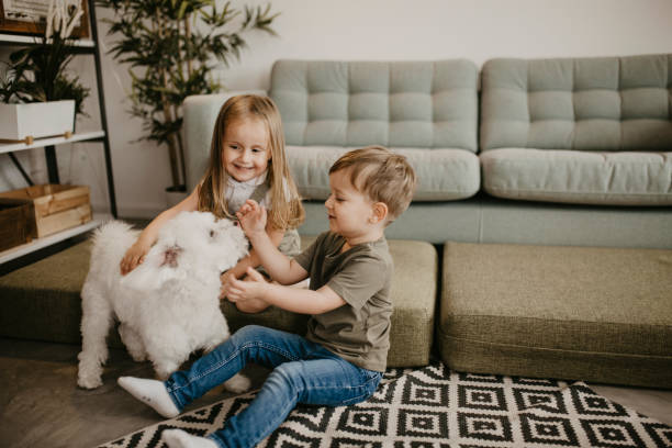 Accurate Predictions About My Children in Astrology