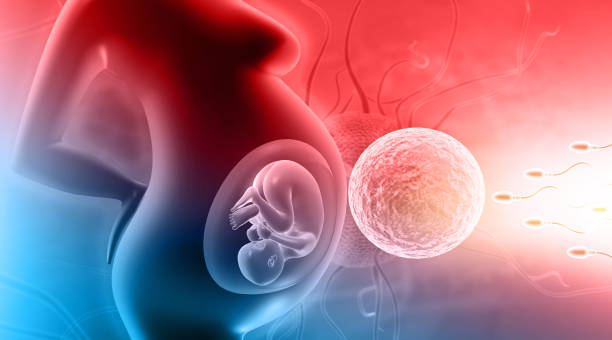 Expert Child And Pregnancy Astrology in 2026