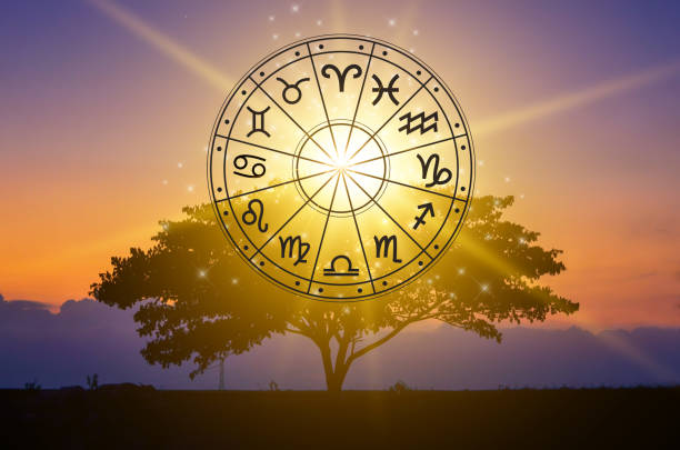 Where Should I live Astrology Calculator