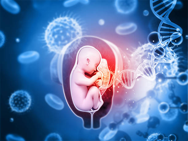 Best Dates for a Child Birth in 2026 with Rajyog in November